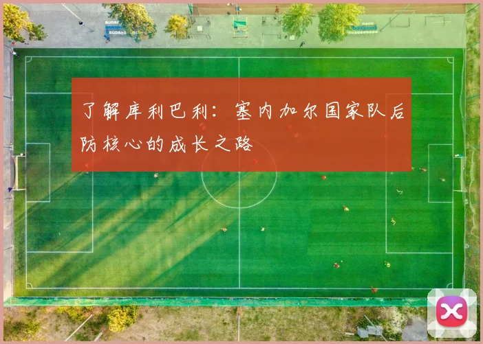 了解库利巴利：塞内加尔国家队后防核心的成长之路