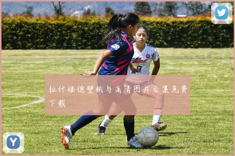 拉什福德壁纸与高清图片合集免费下载